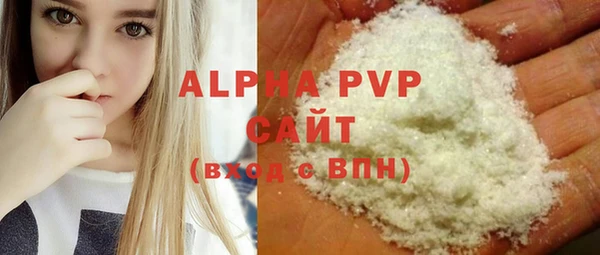 индика Богородск