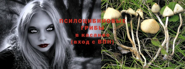 гидра Бородино