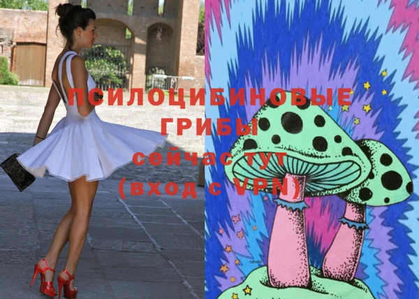 гидра Бородино