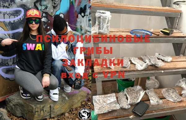 гидра Бородино