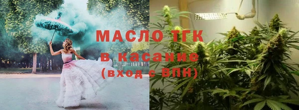 дмт Богородицк