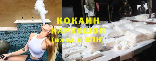гидра Бородино