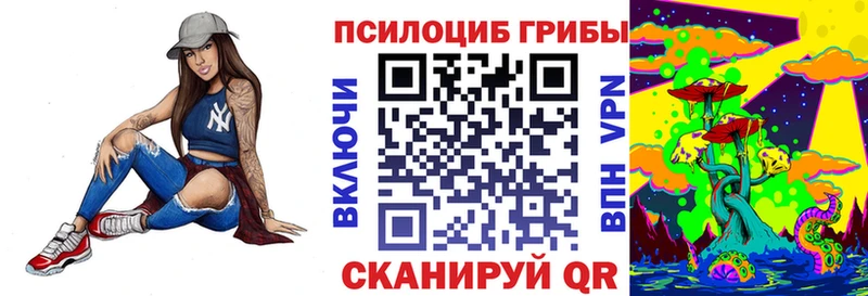 KRAKEN вход Дальнегорск Галлюциногенные грибы Cubensis