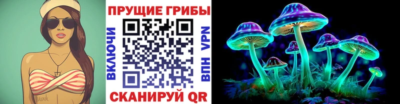 Галлюциногенные грибы мицелий Дальнегорск