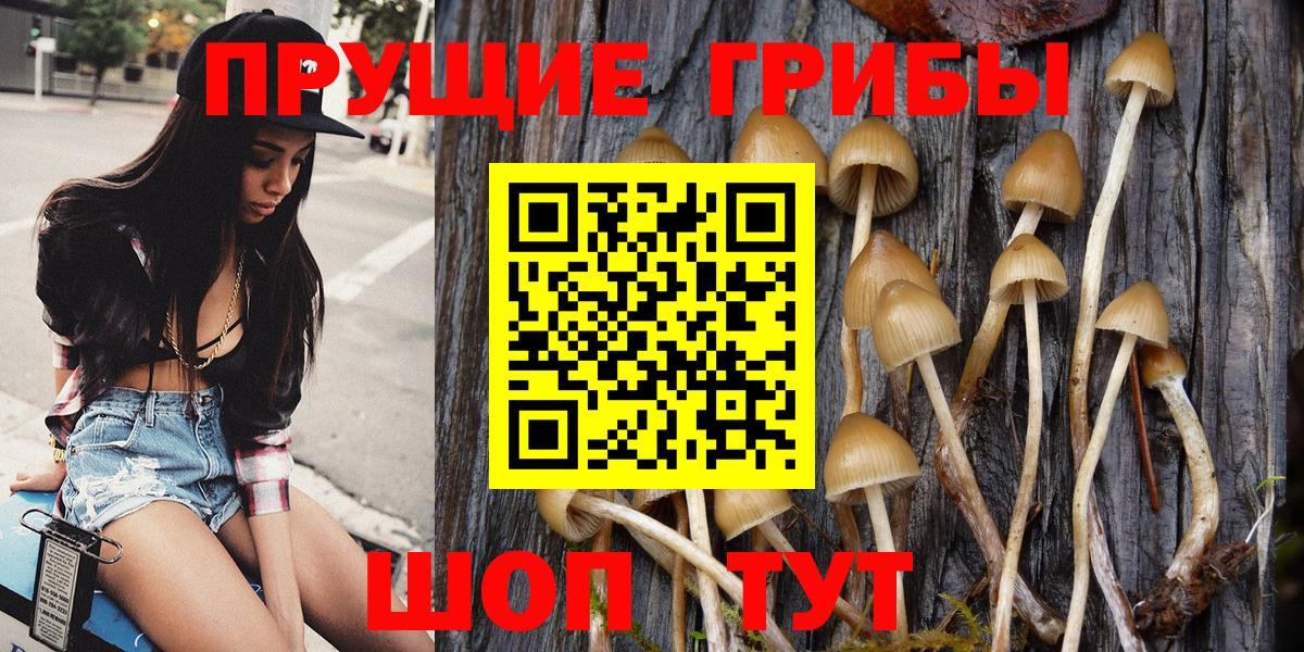 Псилоцибиновые грибы Magic Shrooms  Вход с VPN  Дальнегорск 