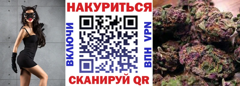 Бошки Шишки план  Дальнегорск 